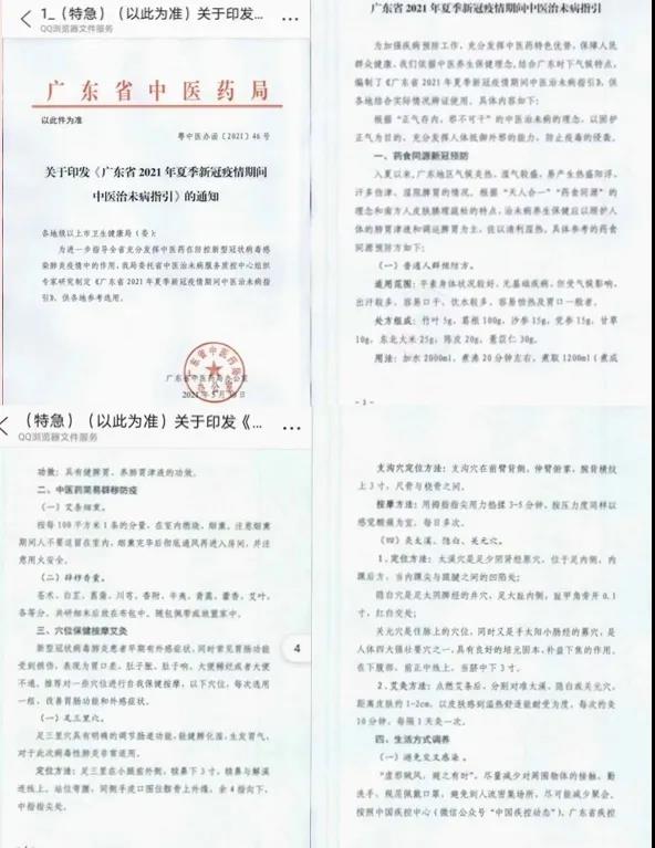 【動(dòng)態(tài)】艾灸已納入廣東省中醫藥局疫情預防清單！