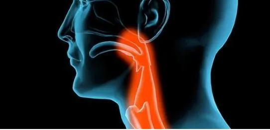 這個(gè)穴位祛痰濕，專(zhuān)克咳嗽痰多、肥胖結節！