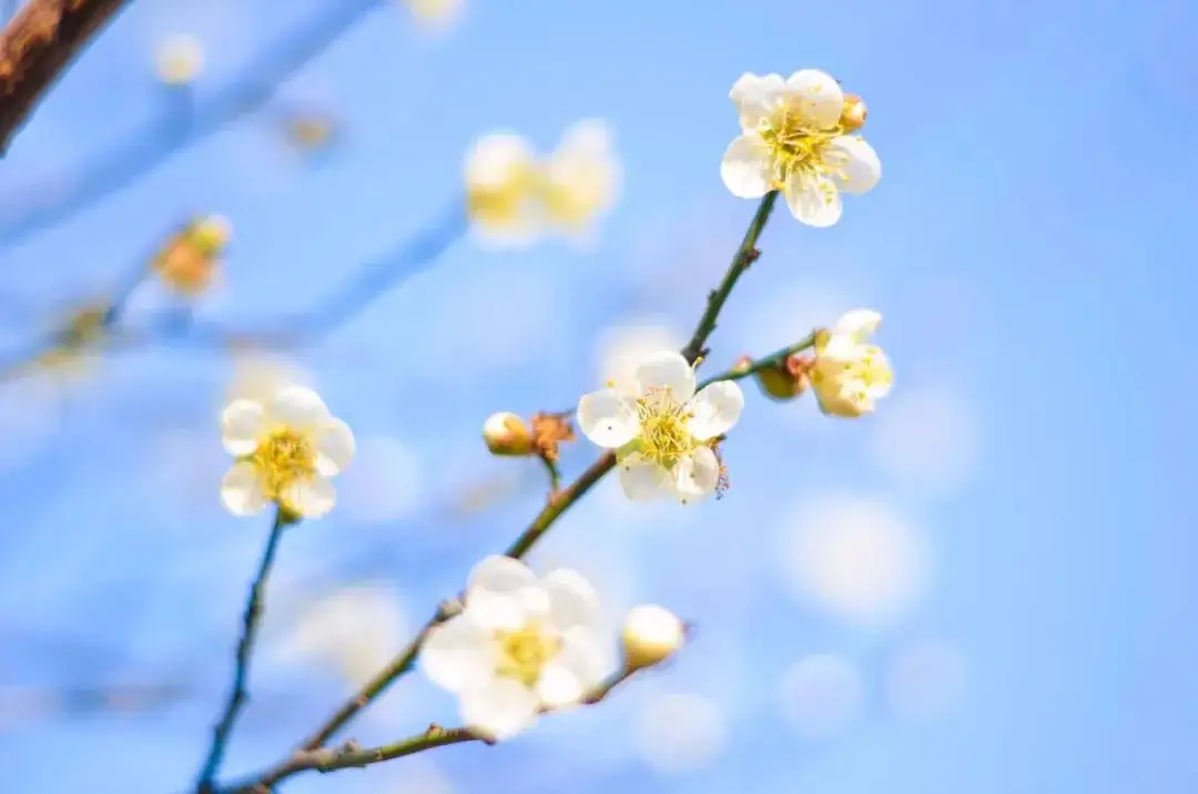 “女人的腳、男人的背”不能受寒，易落下病根!