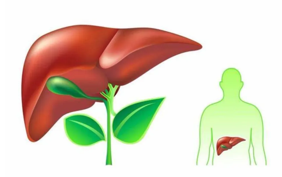 臉、眼、唇發(fā)黑，肝臟要遭殃!